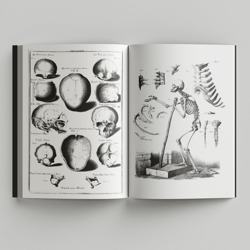 Free_Book_Mockup_4.jpg