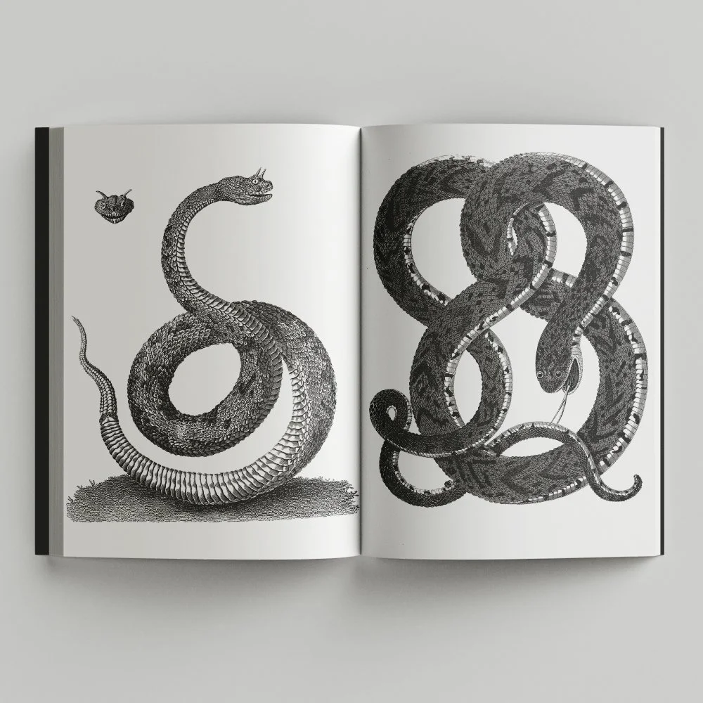 Free_Book_Mockup_4.jpg