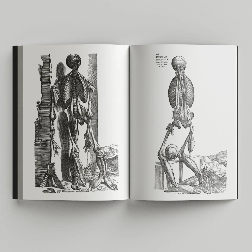Free_Book_Mockup_8.jpg