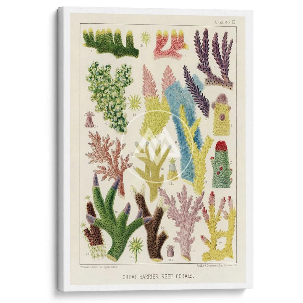 CanvasPrint_FF37.jpg