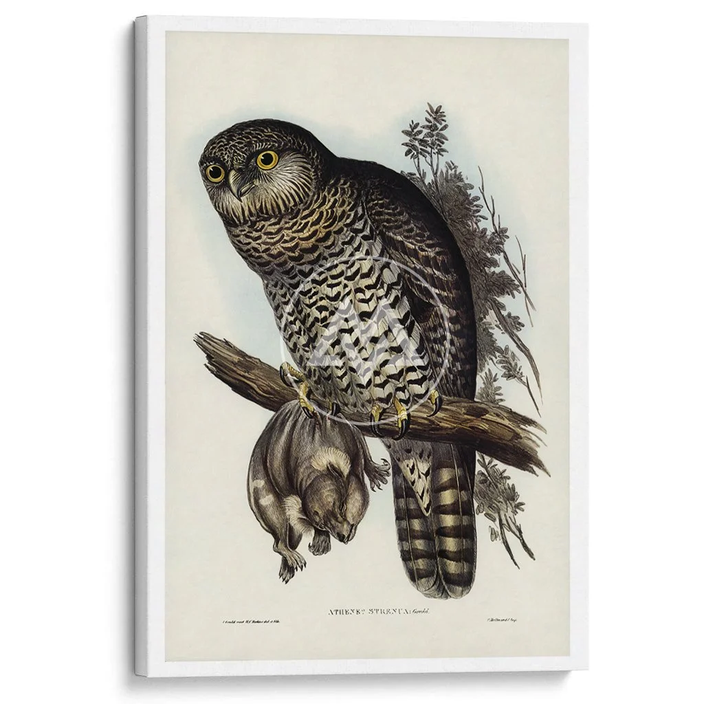 CanvasPrint_FF47.jpg