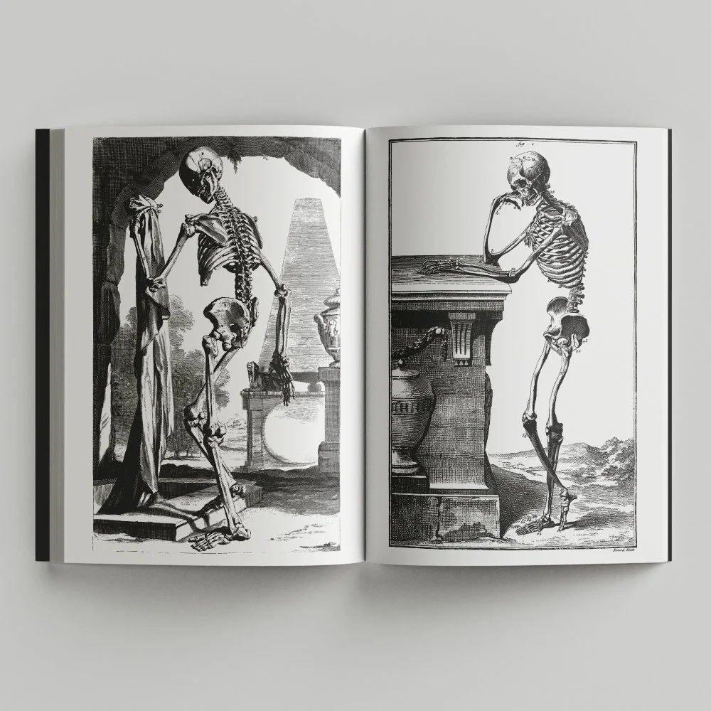 Free_Book_Mockup_3.jpg
