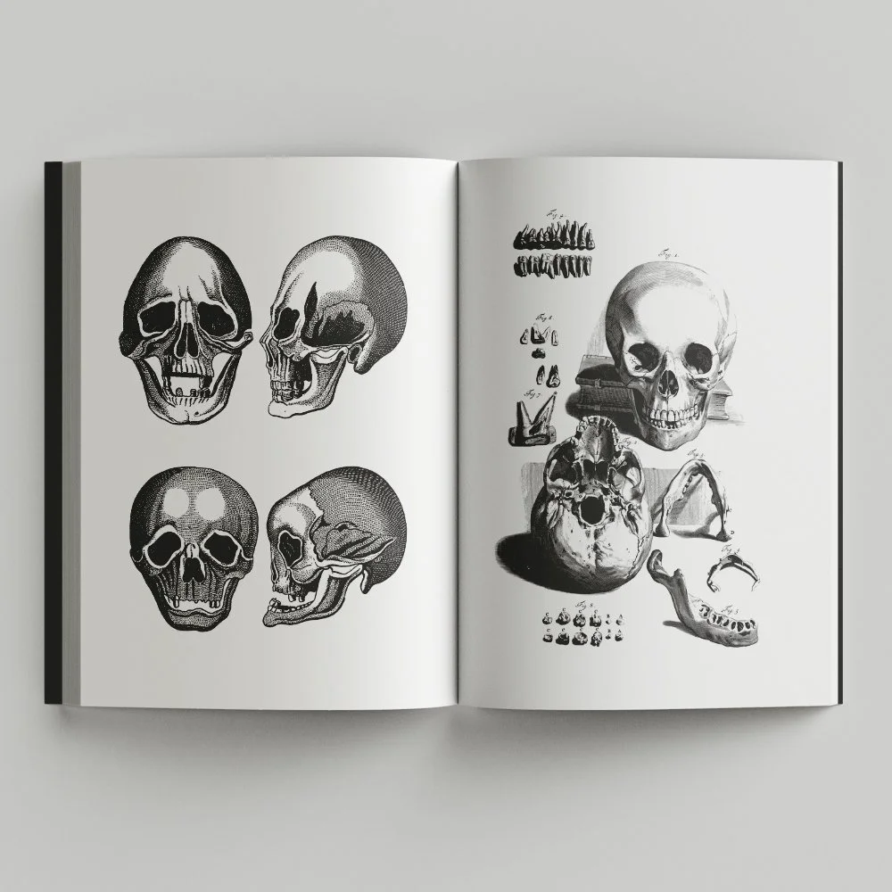 Free_Book_Mockup_3.jpg
