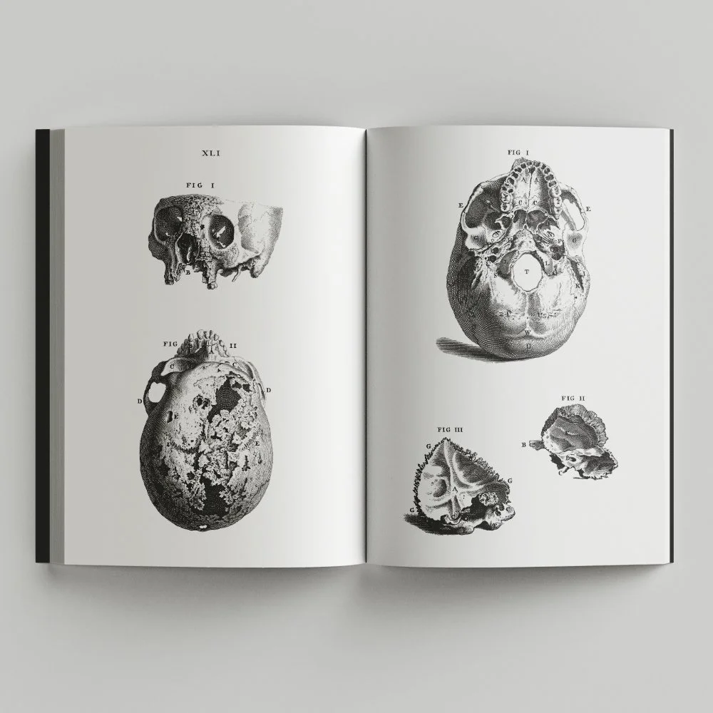 Free_Book_Mockup_1.jpg