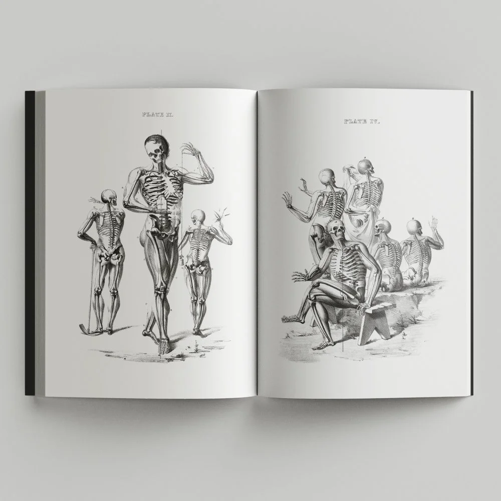 Free_Book_Mockup_2.jpg