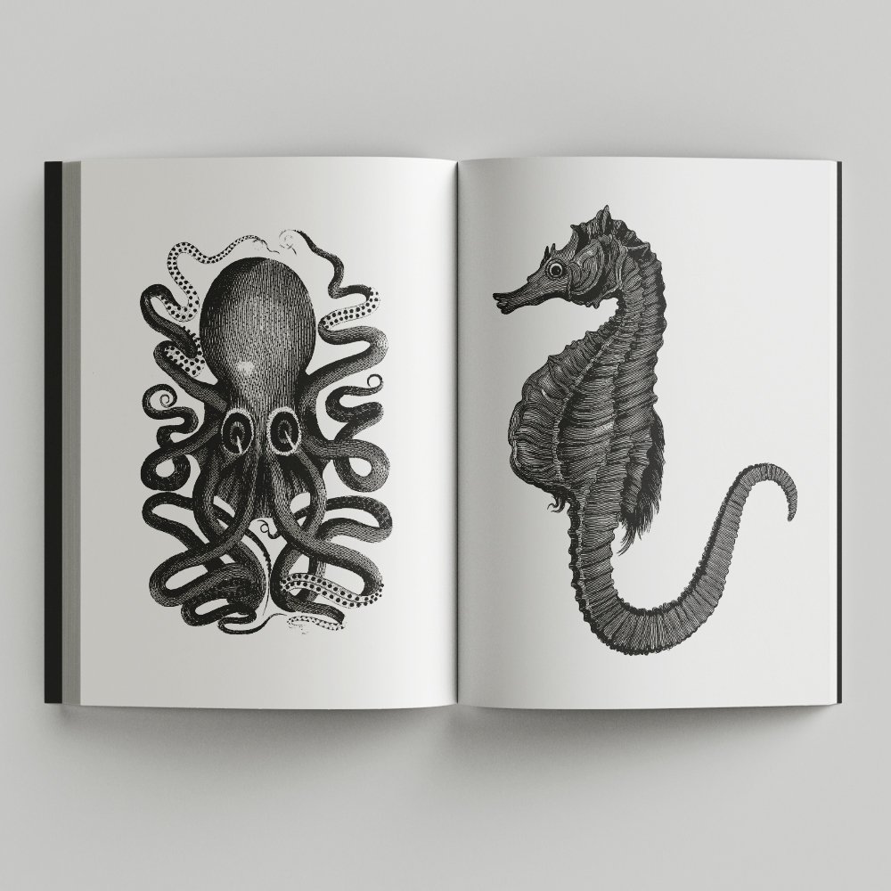 Free_Book_Mockup_5.jpg