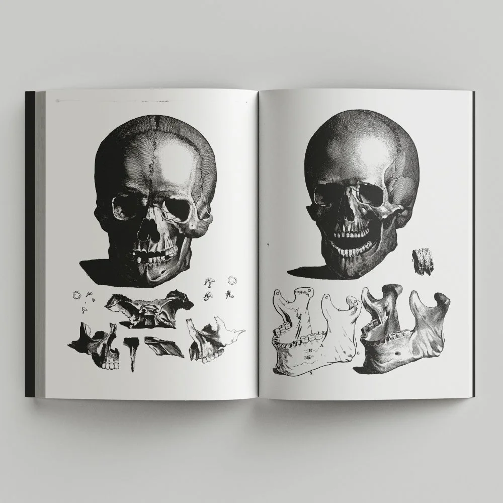 Free_Book_Mockup_5.jpg
