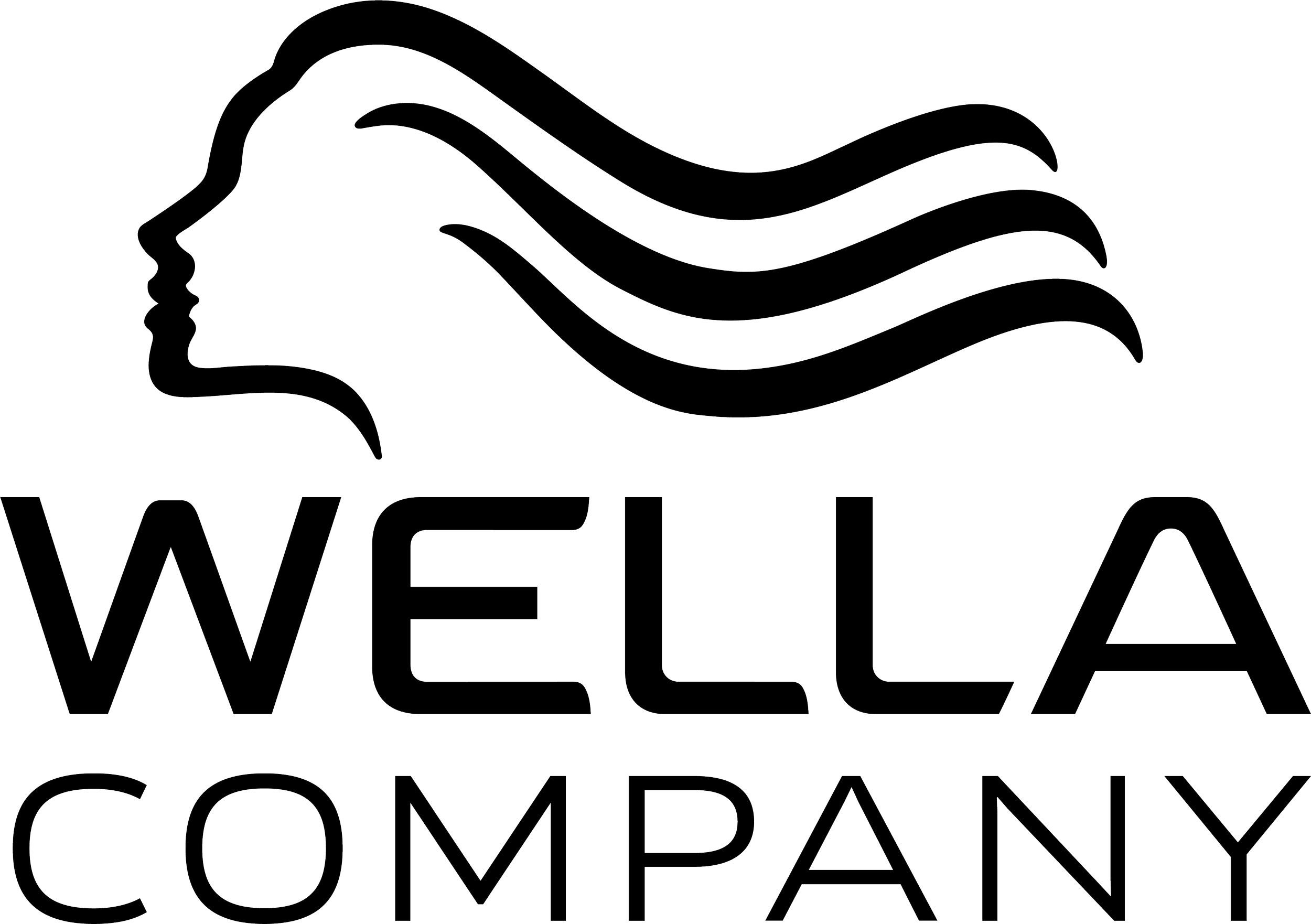 Wella Company Logo_Black.png