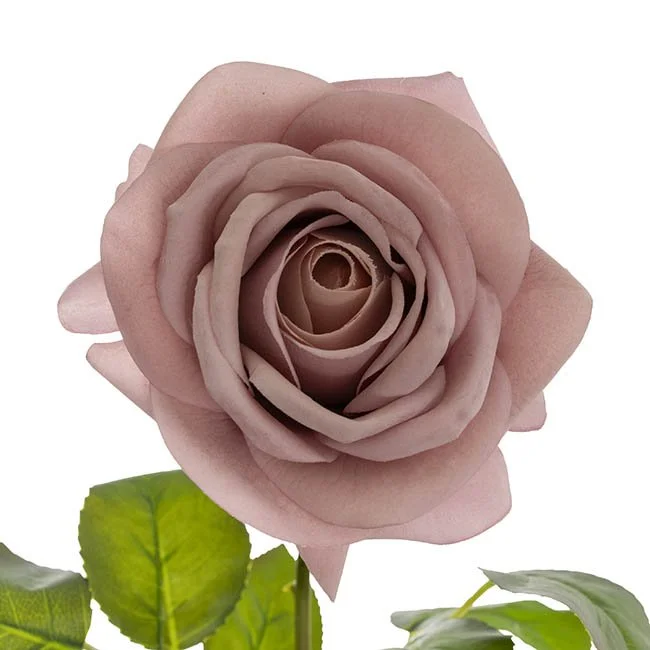 Silk Florals Hire Roses I Weddings & Events Ballina Byron Bay
