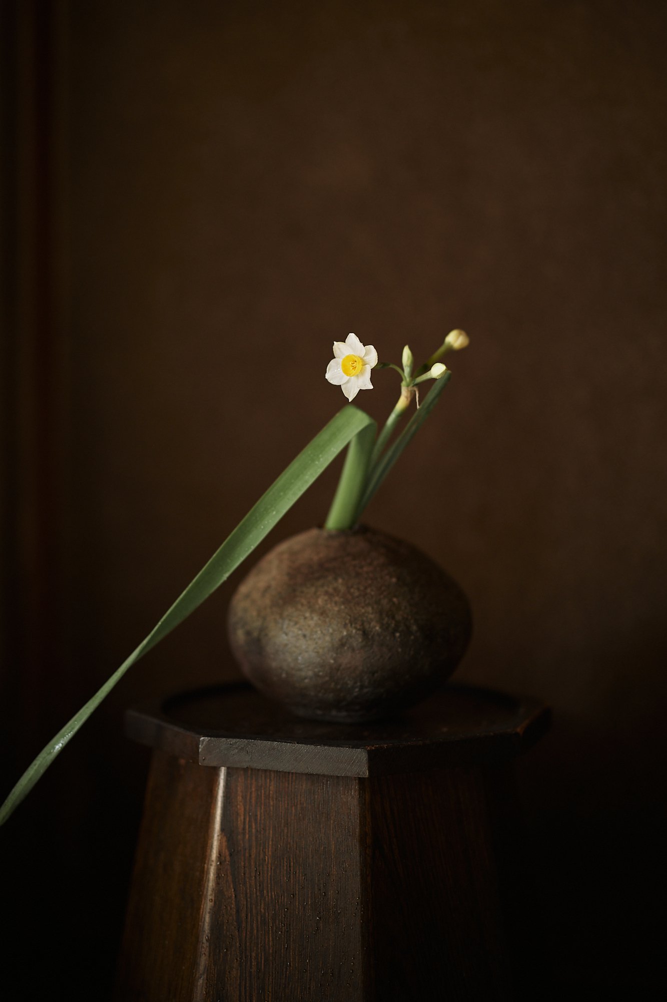 Hana Ando Collab winter Rimpei Watanabe-15.jpg