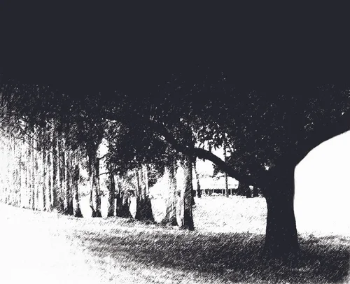 2025 Festival — Boolarra Folk Festival