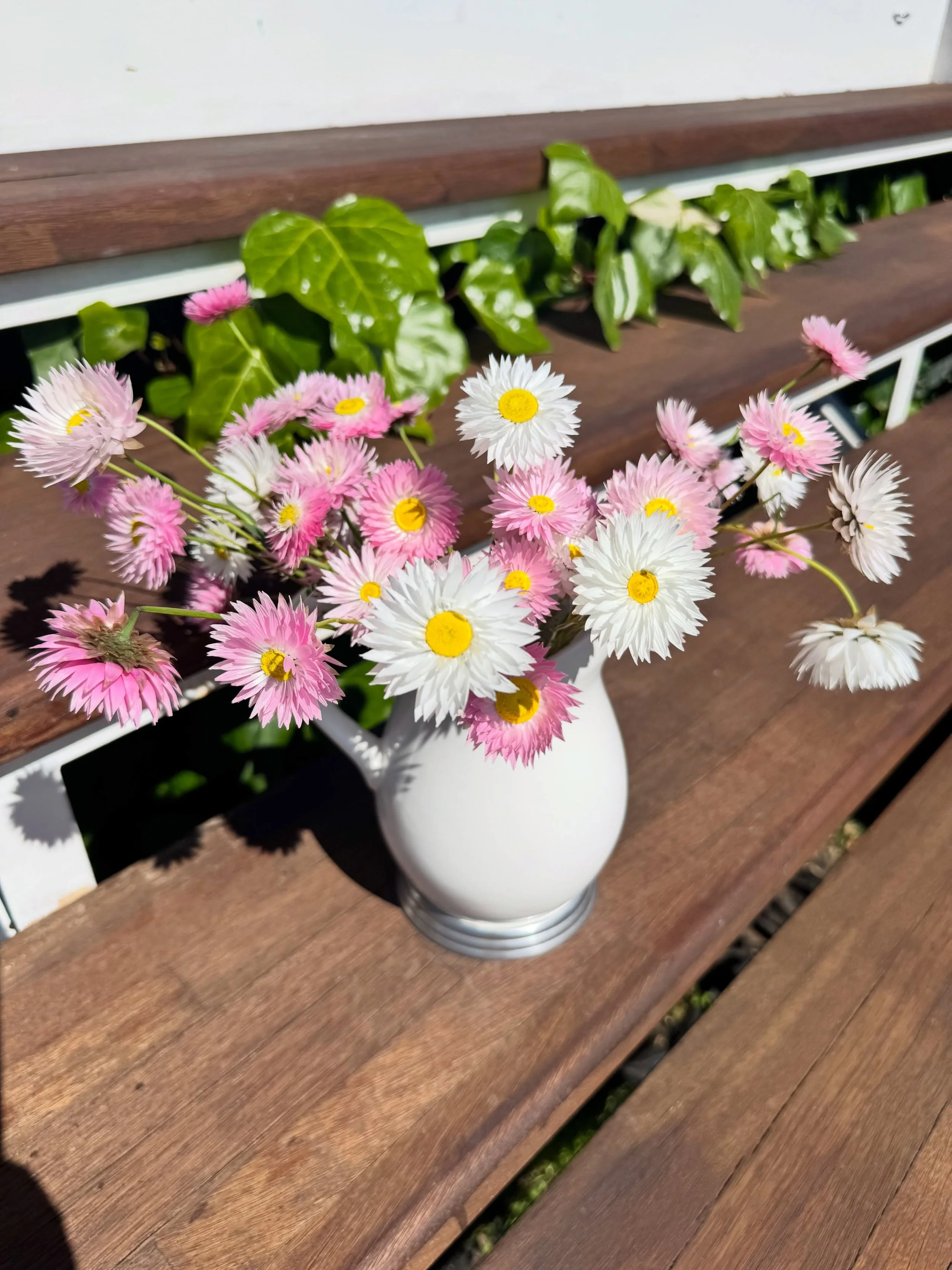 The prettiest of posies 🌸

I have a very clever friend who has turned her love of gardening and growing into a gorgeous little flower business.

These beauties are grown locally in Splitters Creek by Anna at @bullparkflowers - and they are absolutel