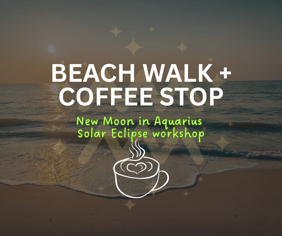 New Moon Solar Eclipse Beach Walk