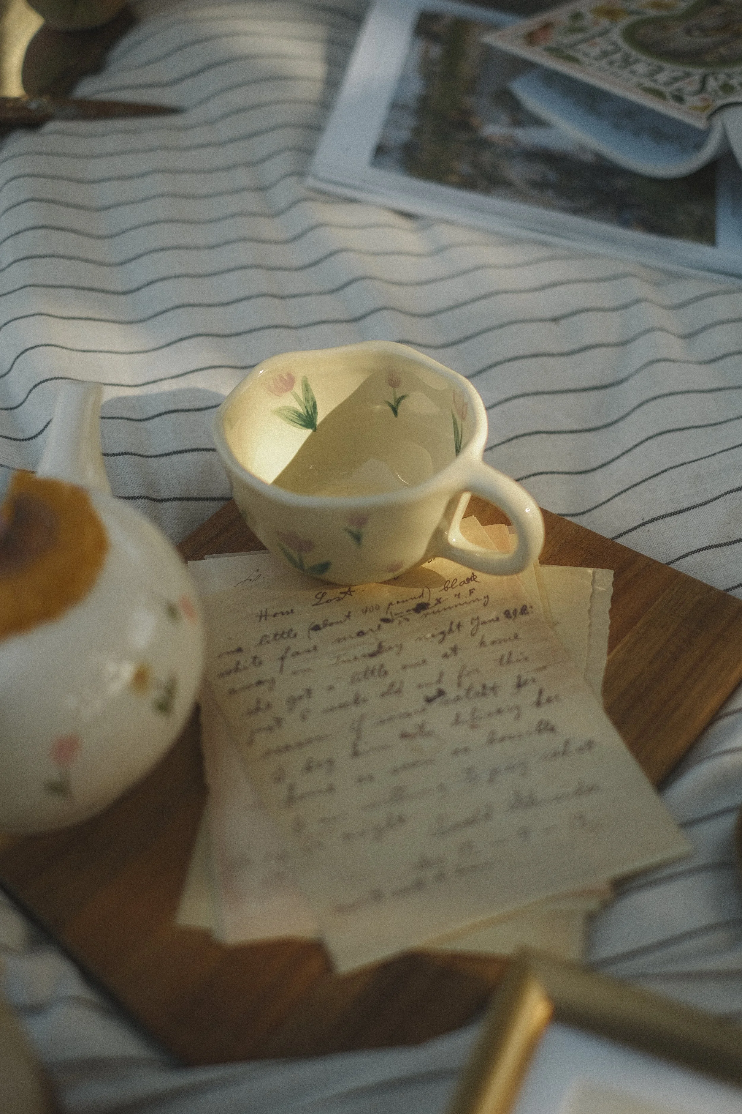 STAS spring 24 (12 of 66).jpeg