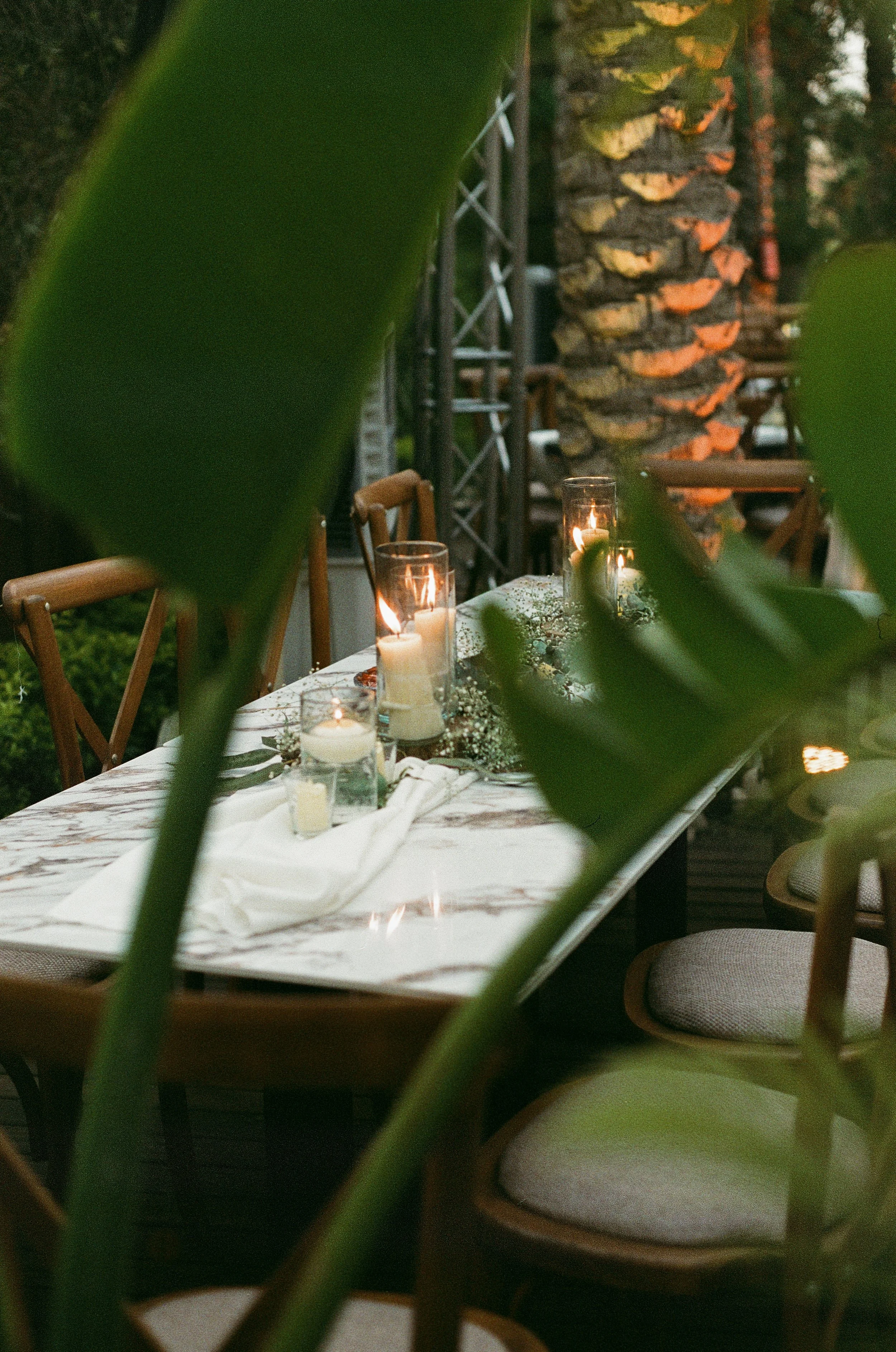 willow FSP (26 of 35).jpeg