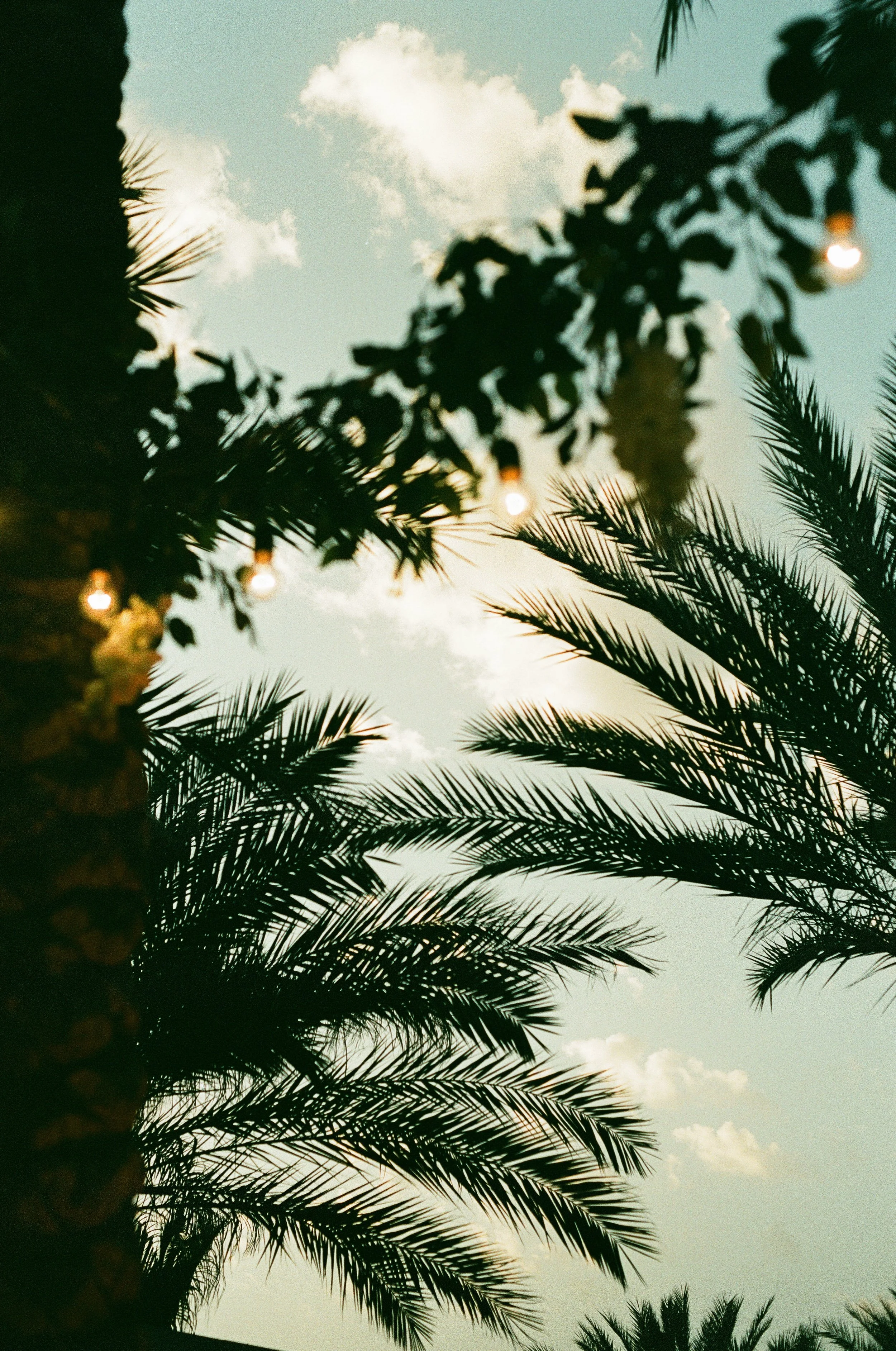 willow FSP (20 of 35).jpeg