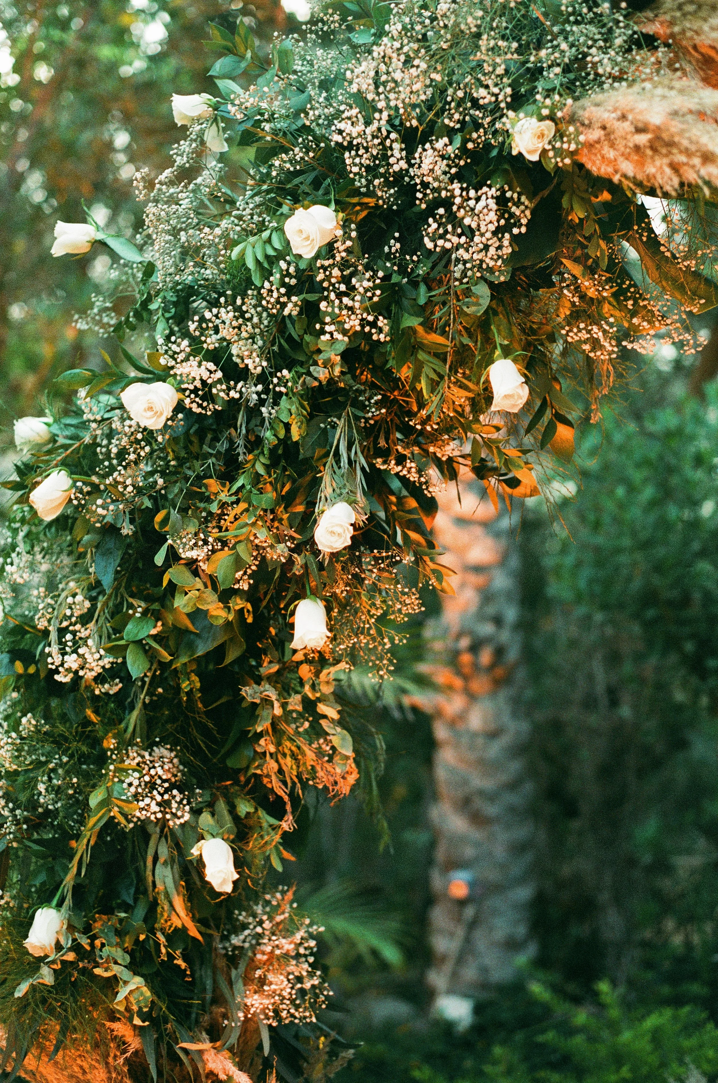 willow FSP (23 of 35).jpeg