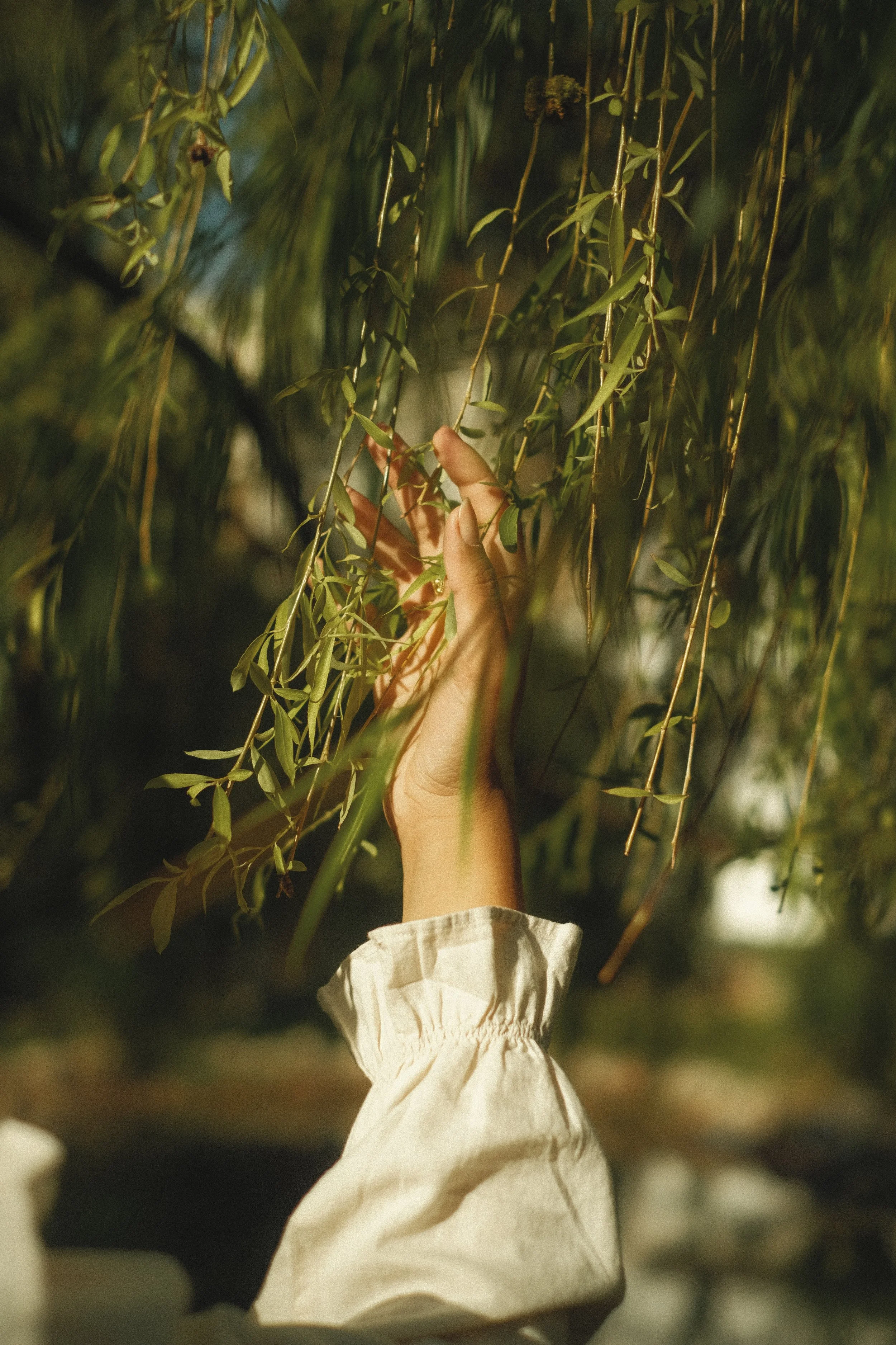 willow shoot (35 of 38).jpeg