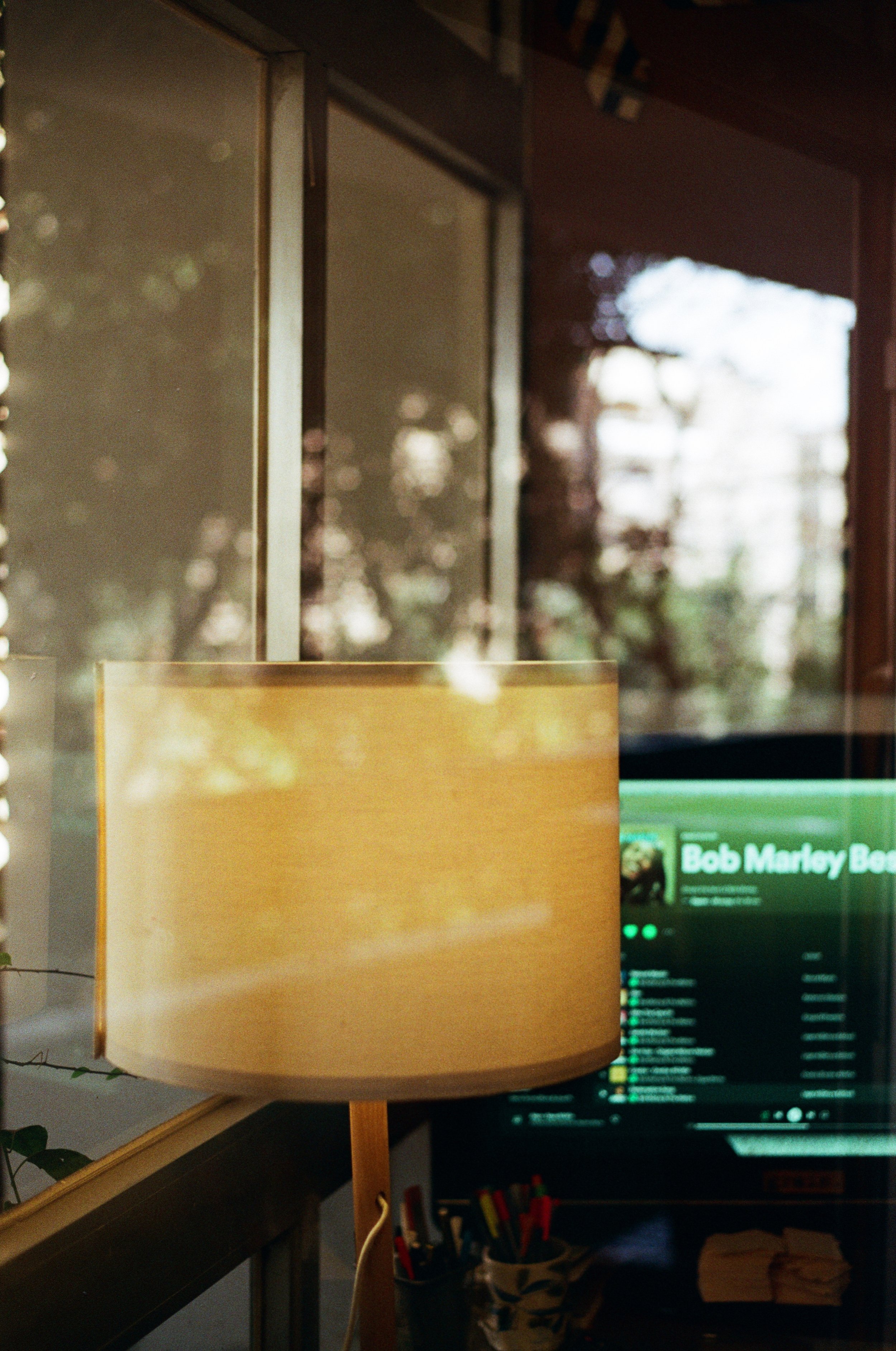 Grain C200 (9 of 38).jpeg