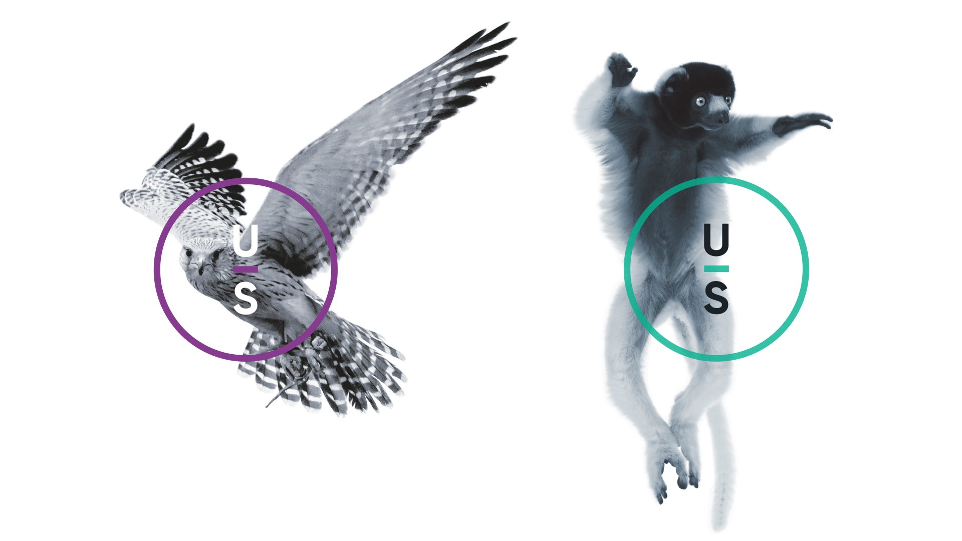 Uncommon Sense mark and imagery