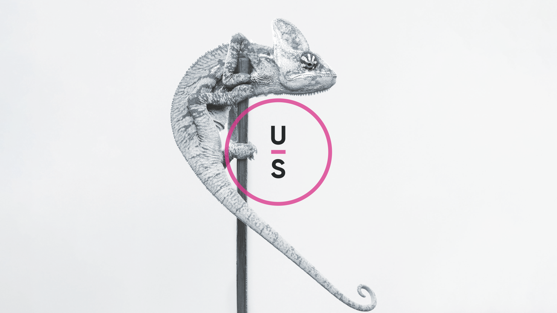 Uncommon Sense chameleon and mark