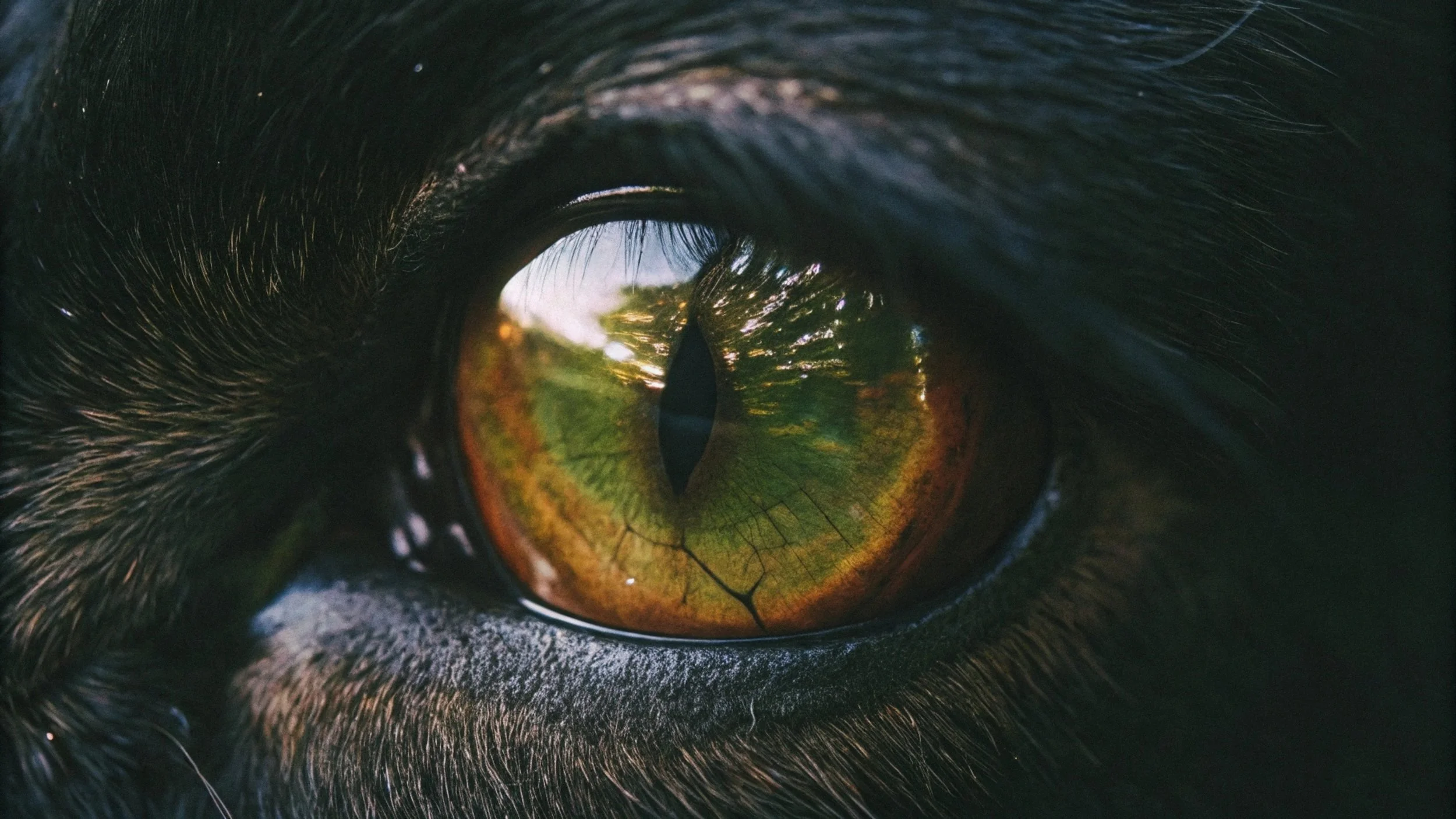 Is Your Google Ads Account Over-Engineered? Why You Need a "Second Look" Validation