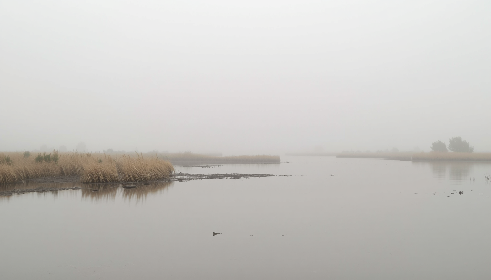 The Quiet Days Are Lying to You (And So Is Your Urge to Fix Them)