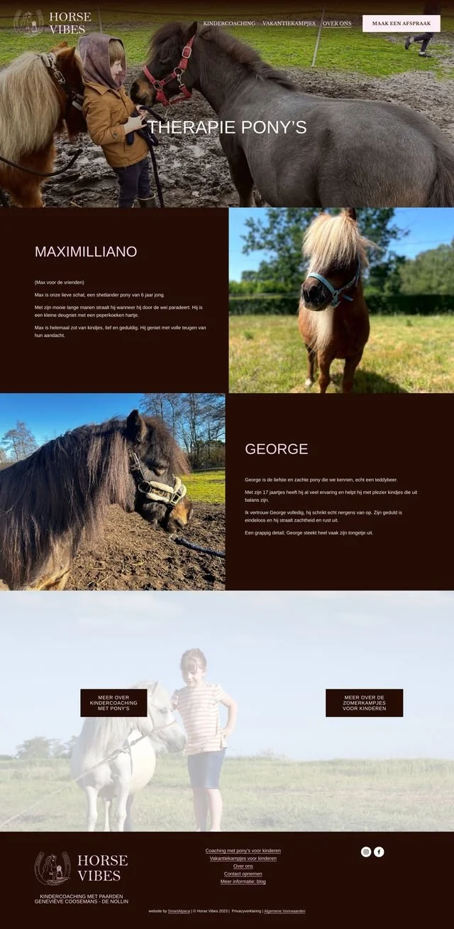 Therapy Pony's on Horse Vibes website