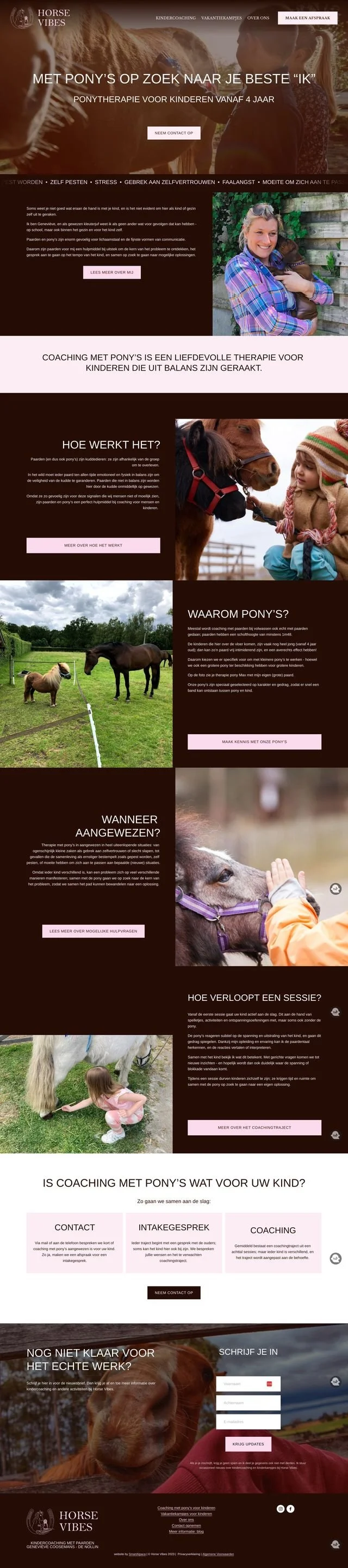 Horse Vibes homepage