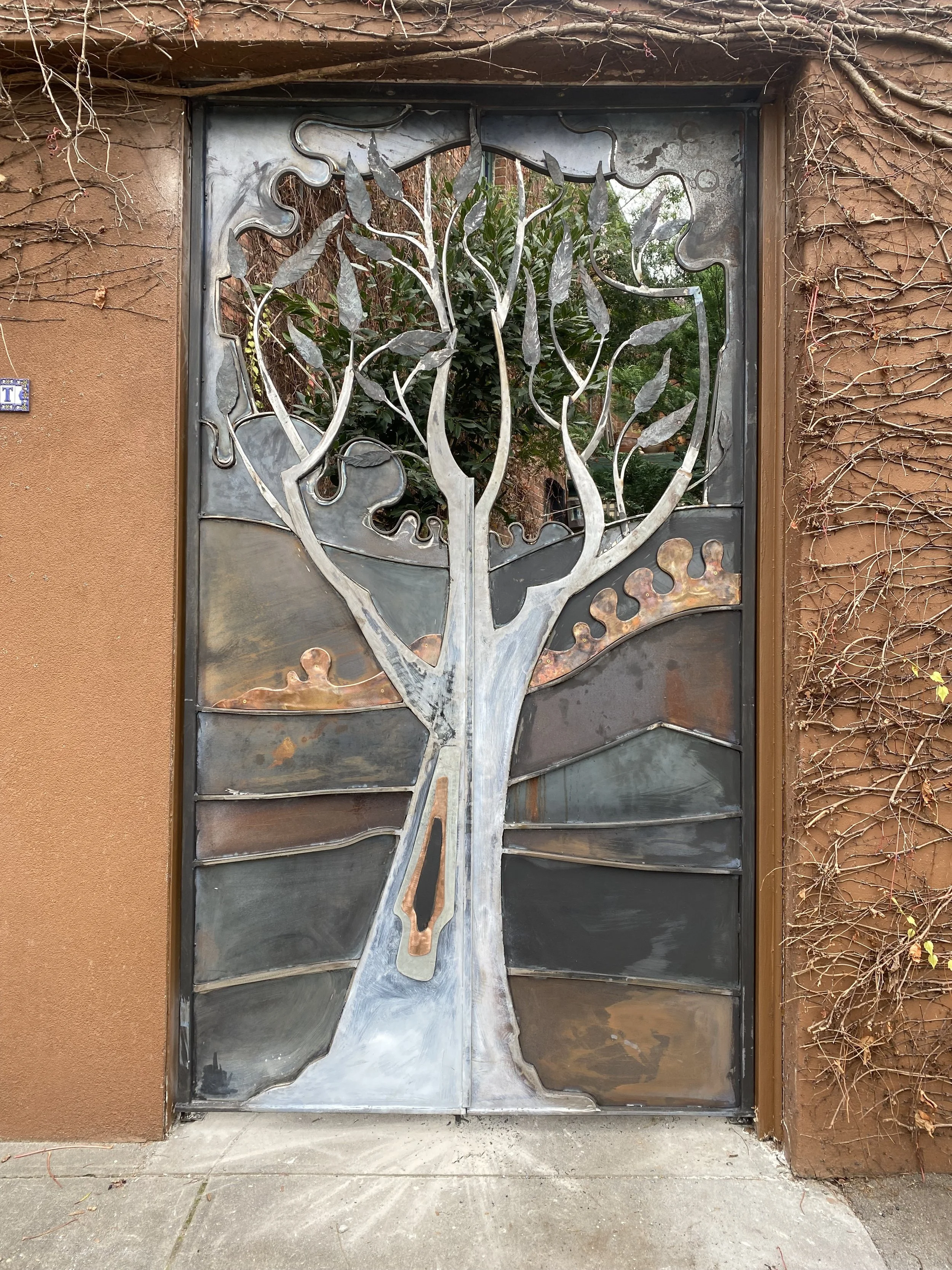 Wrought iron Ghost Gum design garden gate by artist and blacksmith David Wood.