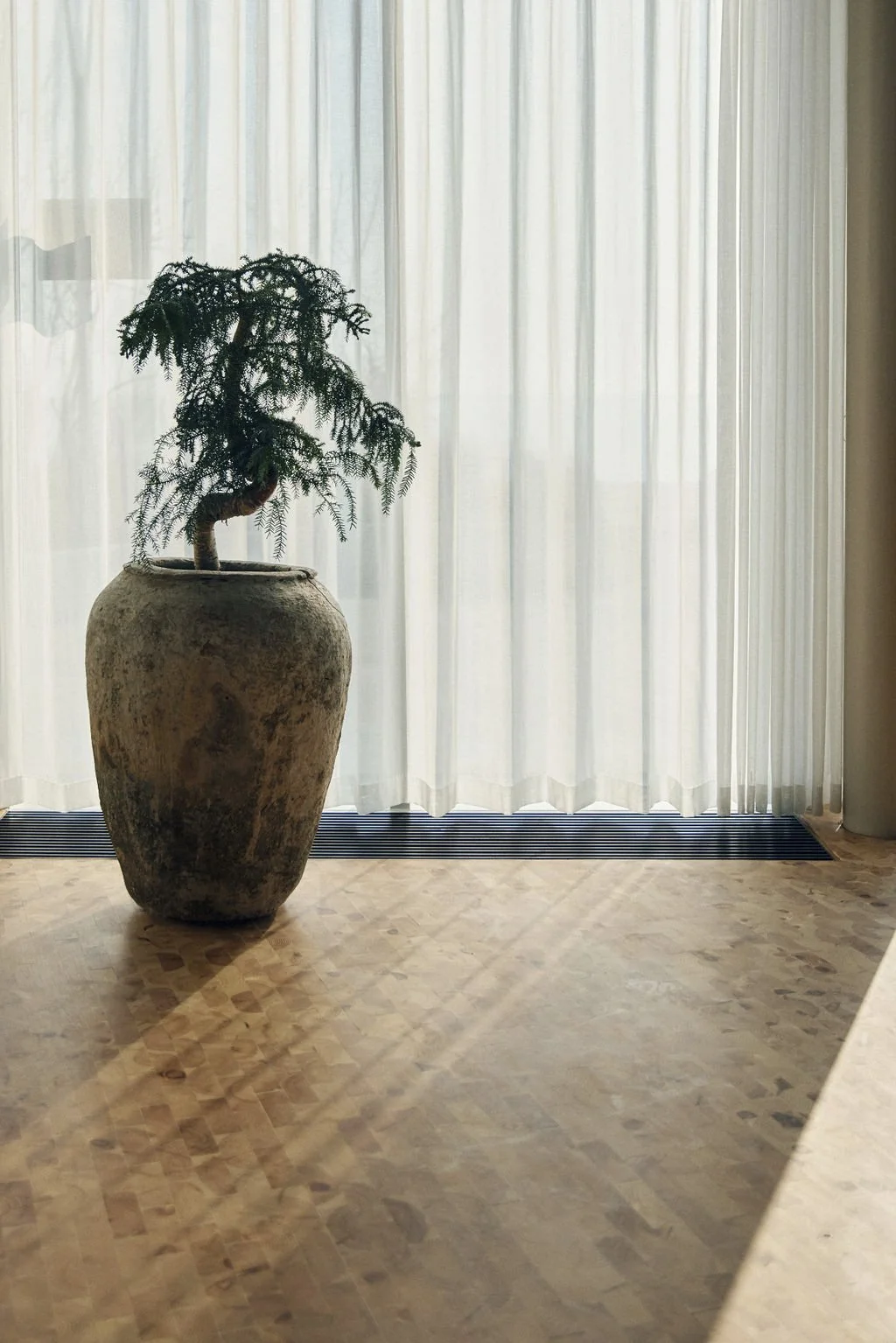 Plante_FamilyOffice_HommelhoffGroup.jpg