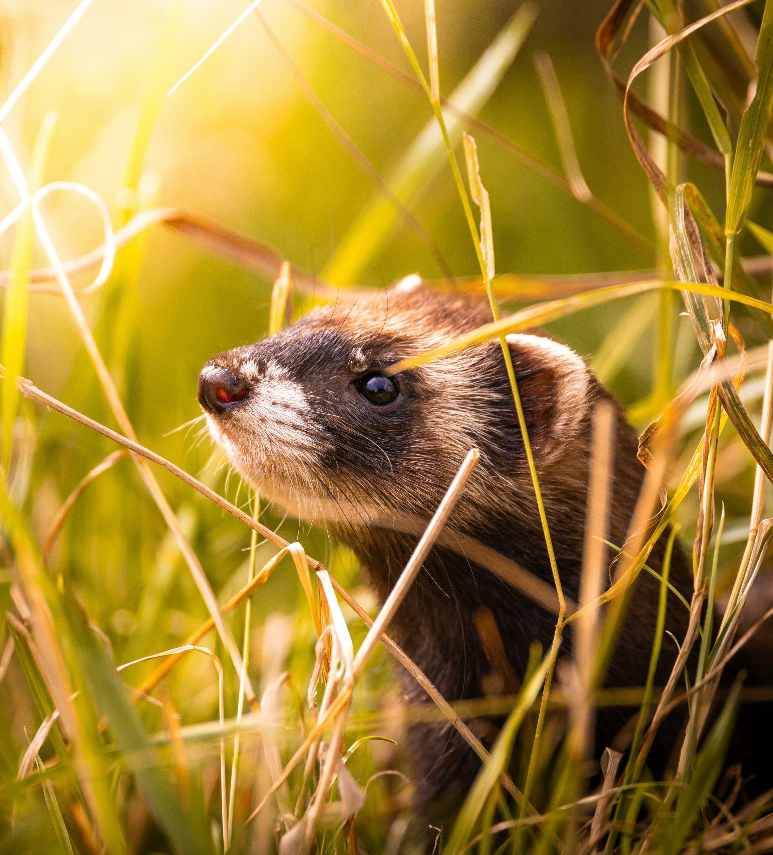 A Year In (nature) Numbers