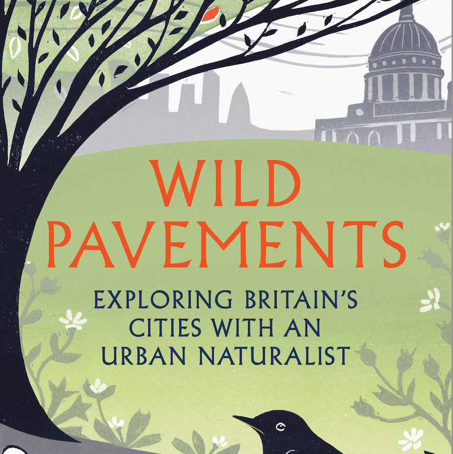 Wild pavements