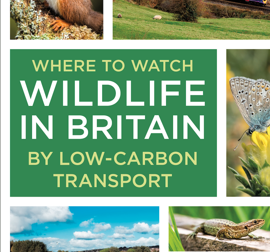 Where to watch wildlife