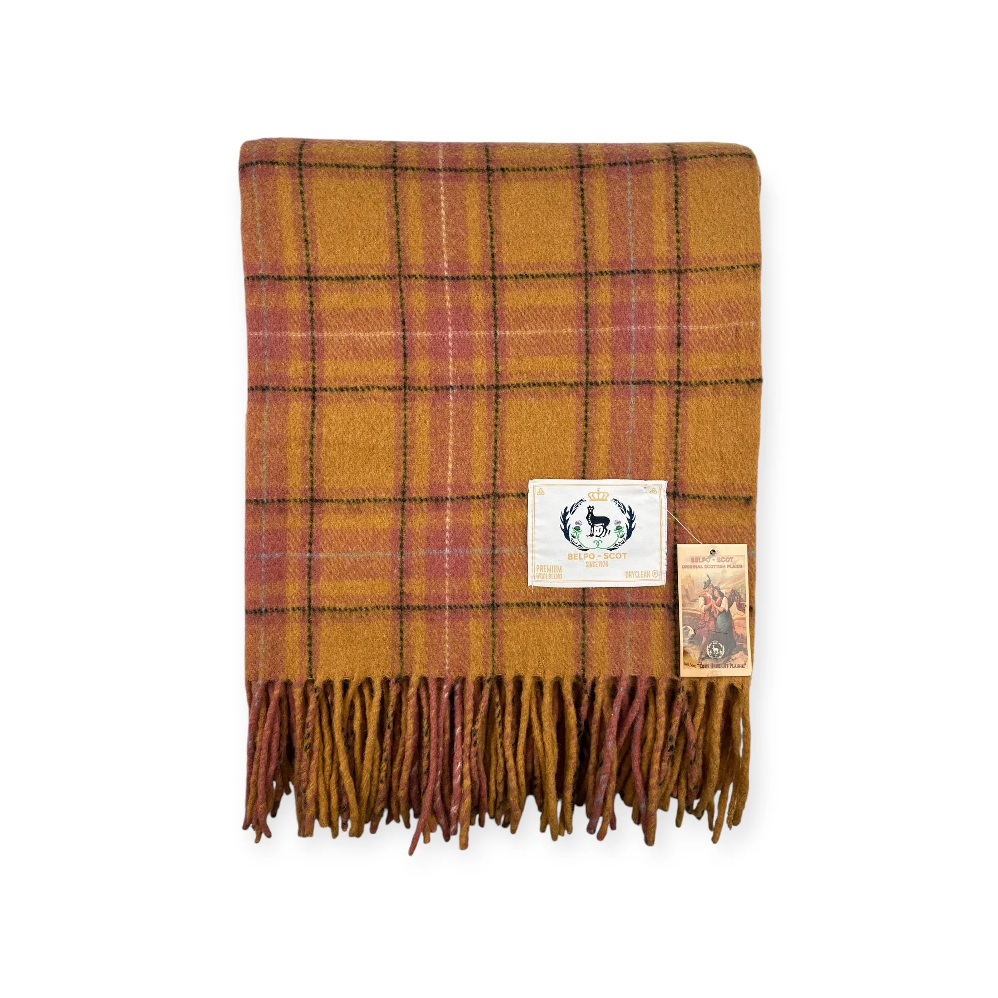 Tartan Aussie Modern