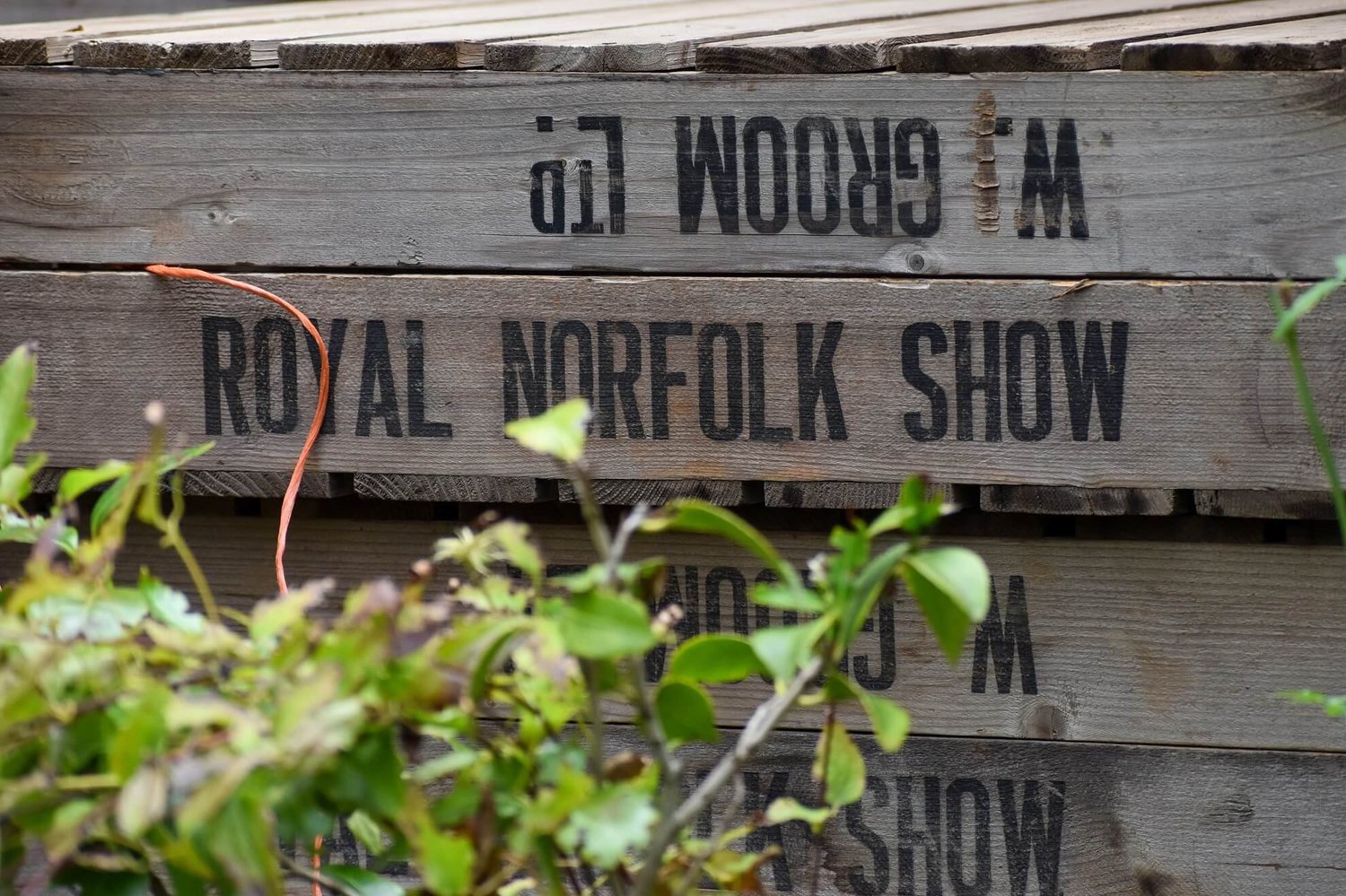 Brothers in Arms Country Pub & Family Restaurant in Walpole St Andrew