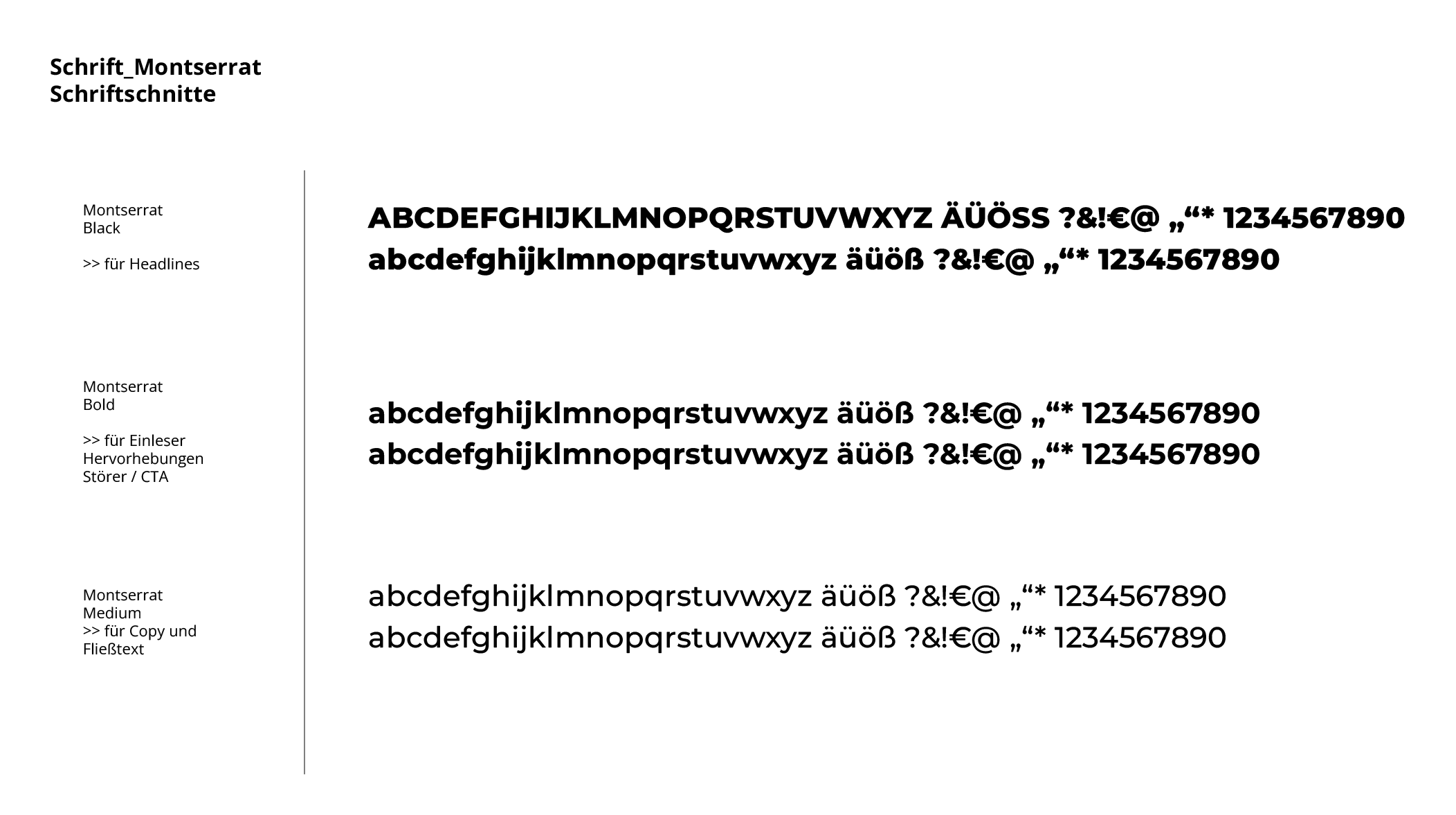 monvesta_Design_Artdirektion_lenatervooren_Finanzen_creativedirection19.png