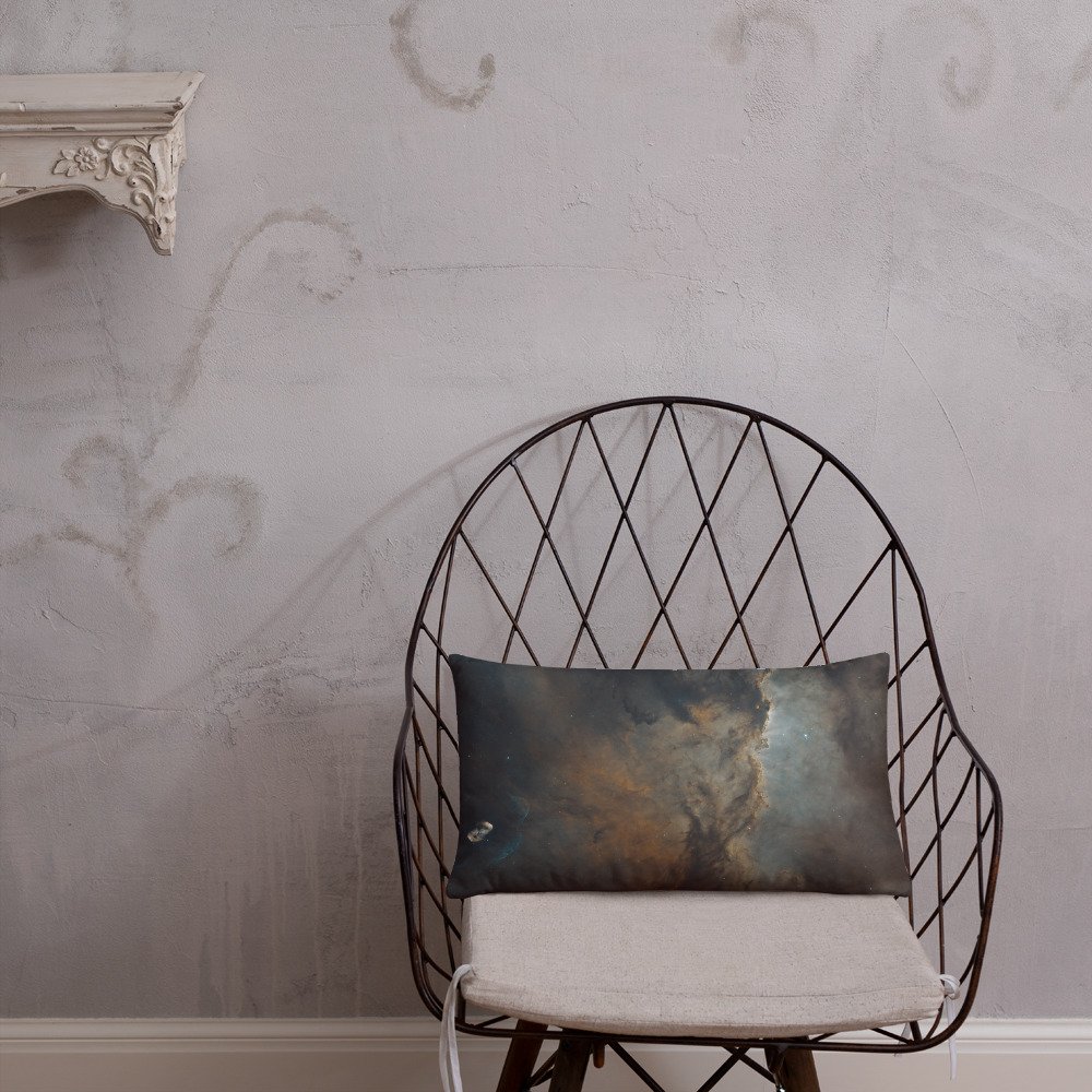 all-over-print-basic-pillow-20x12-front-lifestyle-1-65e961b31cbd3.jpg