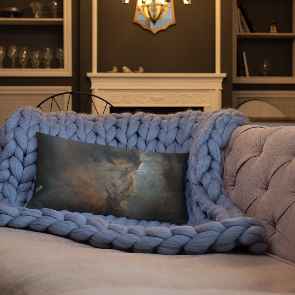 all-over-print-basic-pillow-20x12-back-lifestyle-3-65e961b31d20c.jpg