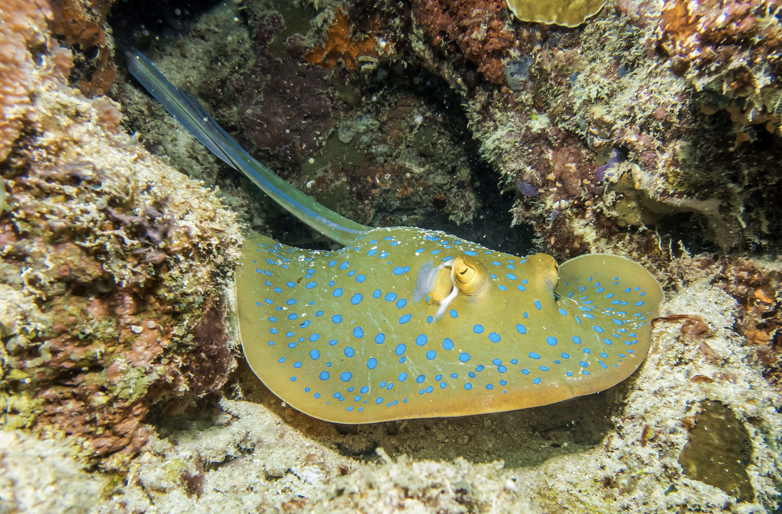 Screenshot 2026-02-28 at 22.08.56.png