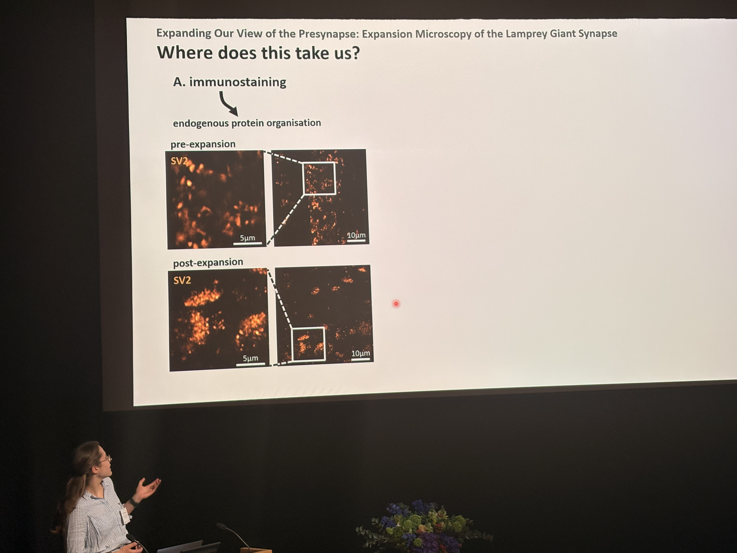 Screenshot 2026-04-11 at 22.06.31.png