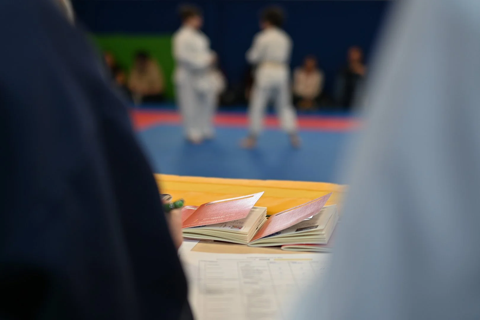 BSV19-Ju Jutsu: Erfolgreiche Prüfung für Klein &amp; Groß