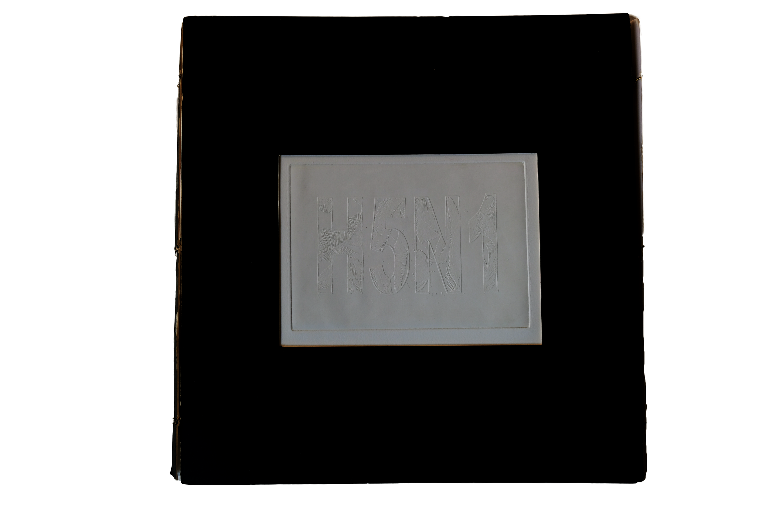 Environment (2006). Limited edition of 10. 16.5 x 16 inches (42 x 41 cm), 18 pages. Blind Embossing using metal etching on Somerset paper. Japanese 12-hole binding artist book, placed in a presentation cover bound with gold wire.