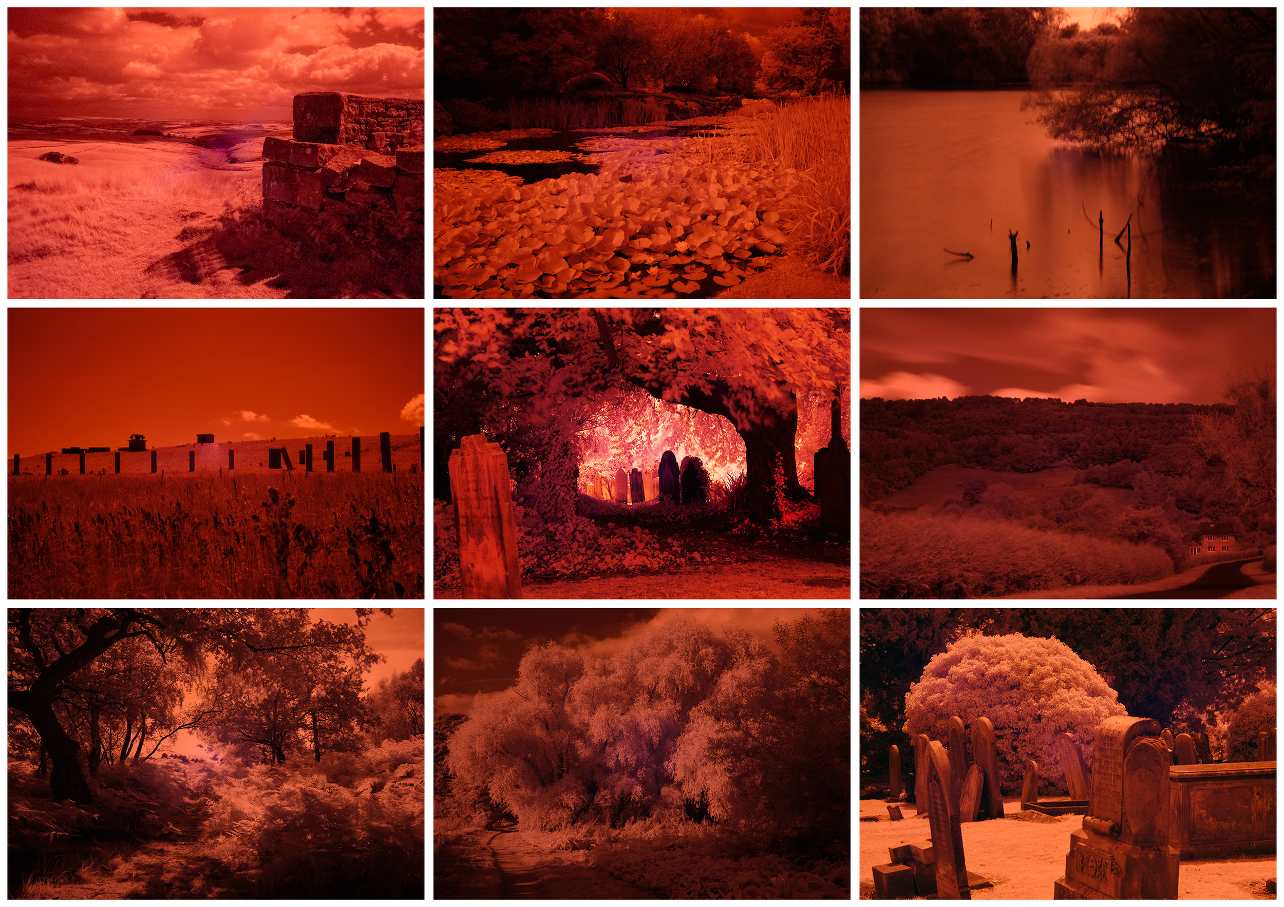 PHOTOGRAPHS.png