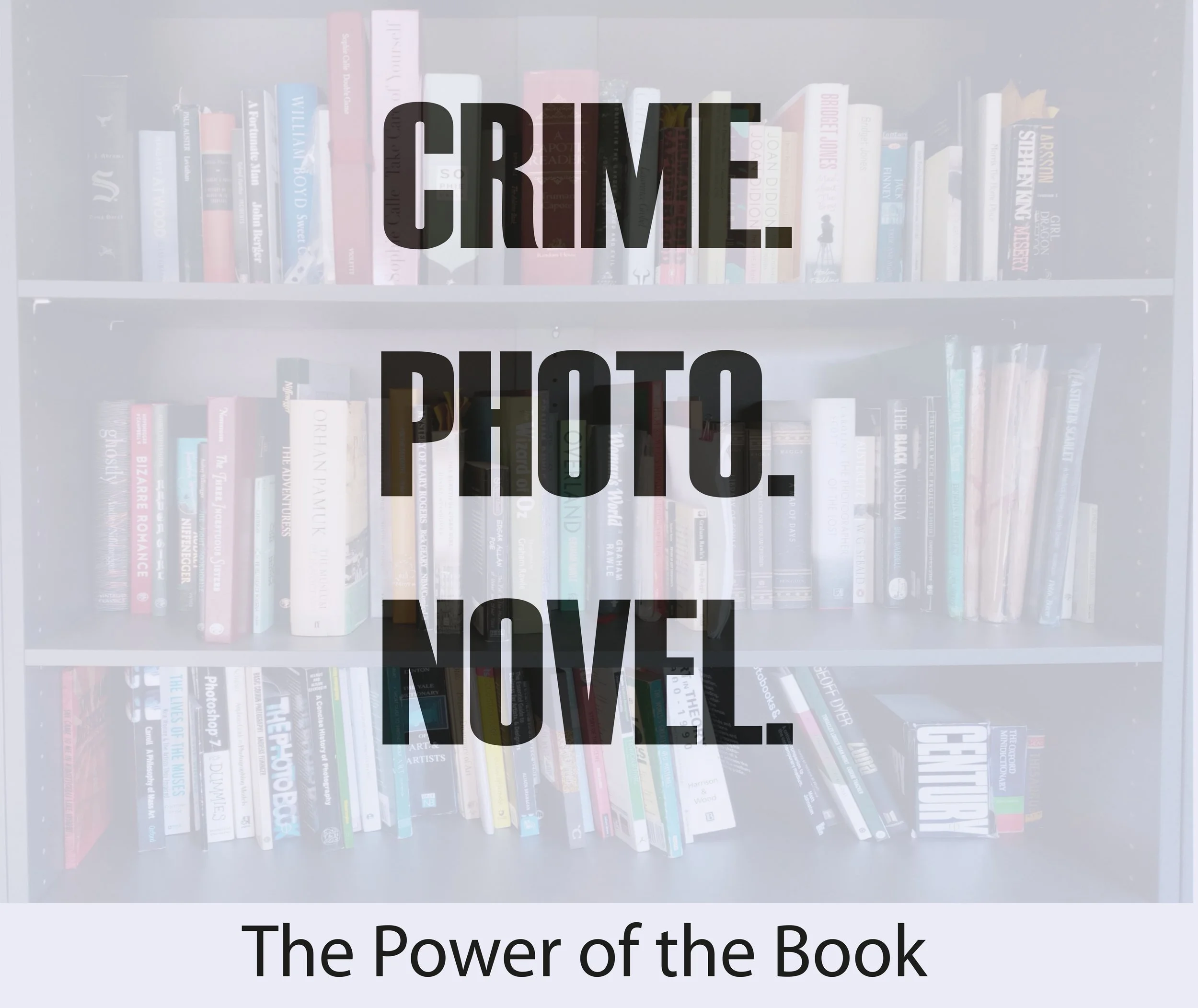 Poster CRIME PHOTO NOVELcropped.jpg