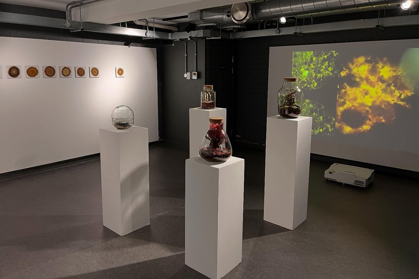 Ecofeminism Under Glass: Women of Derring-Do in the Panicocene (2025). 