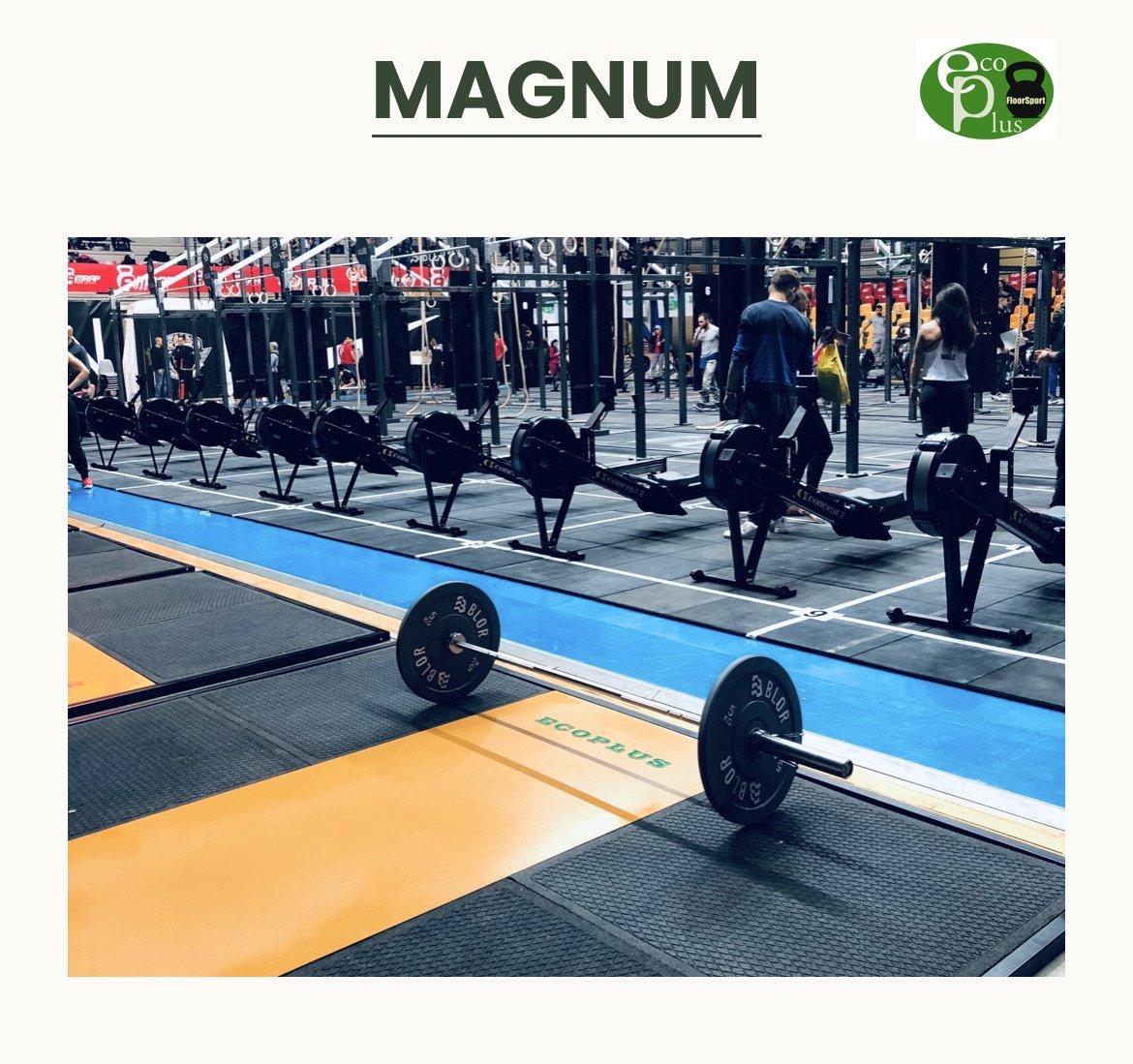Magnum.jpeg