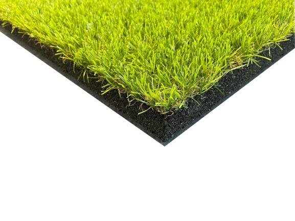 Ecograss+1.jpeg