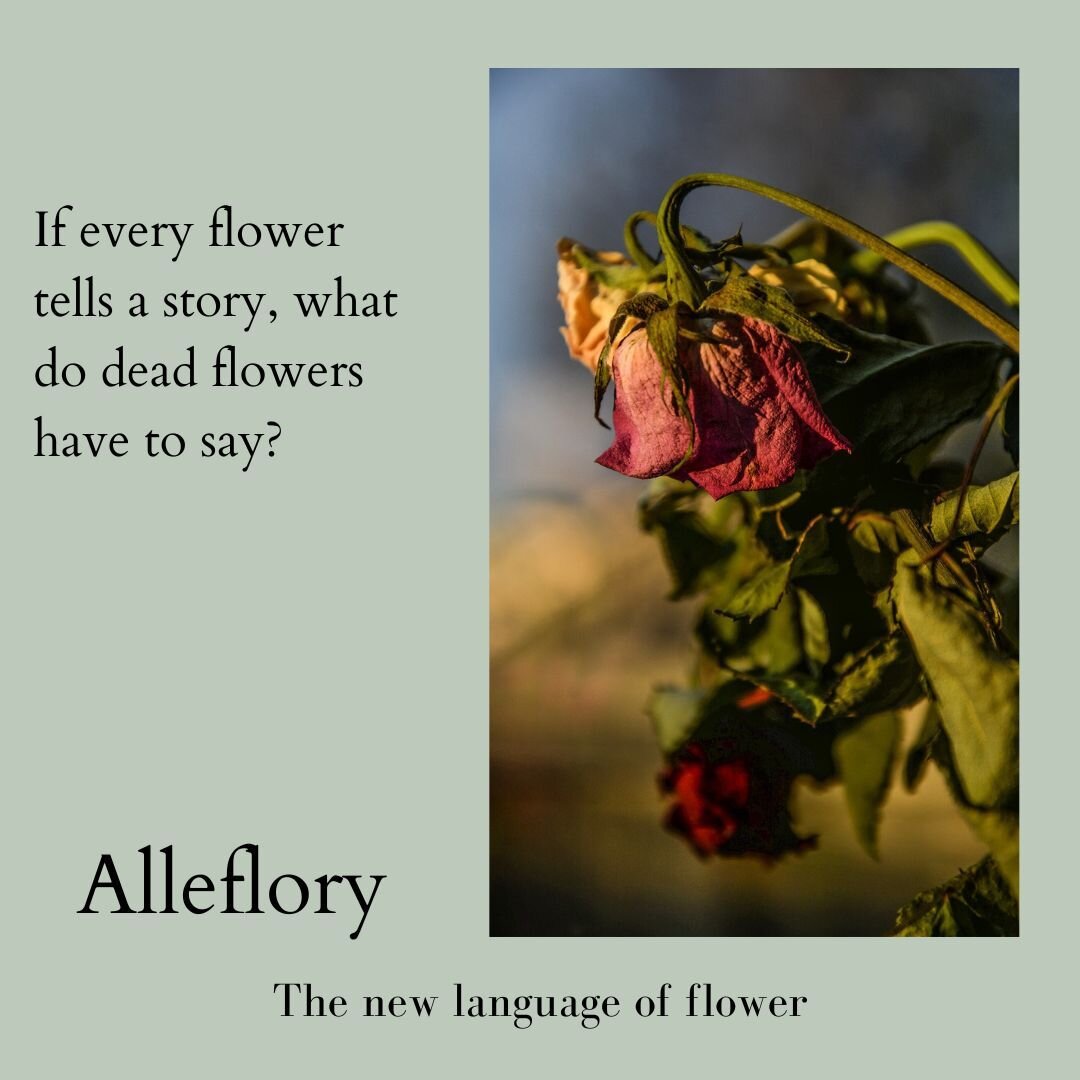 Dried flowers have gained another foothold in floral trends in the past couple years, showing up in everything from bridal bouquets to friendship arrangements. But the message they&rsquo;re sending is at best mixed. While enthusiasts have parsed them