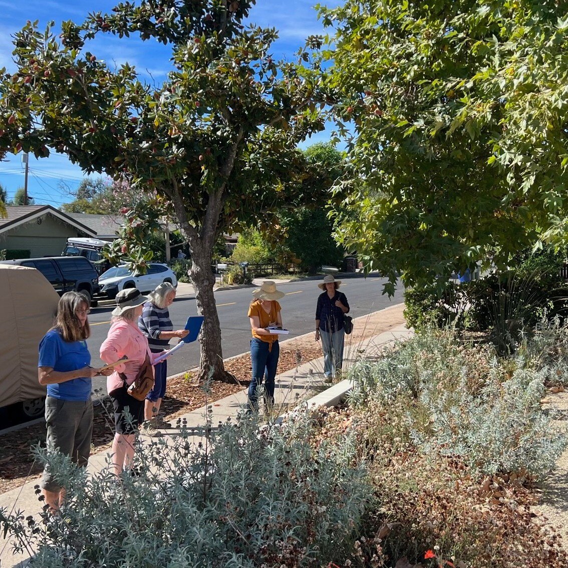 We are excited to announce that our Rewild Garden Certification Docents are all trained up and ready to check out your yard! We have assembled a crack team of master gardeners and native plant enthusiasts that will help walk you through becoming cert